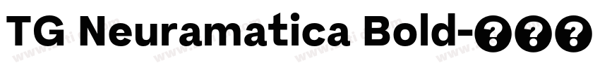 TG Neuramatica Bold字体转换